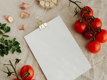 KDHO不包心的综合防治措施介绍_梧州特种养殖技术