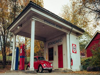 冬季鸡舍的防氨措施_梧州特种养殖技术