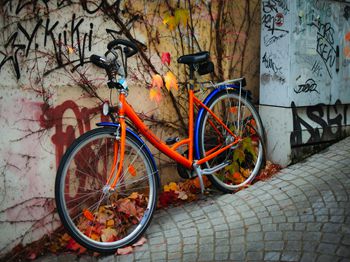 网箱养鱼常用西药_梧州特种养殖技术