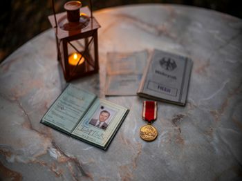 鲜菇腌制技术_梧州特种养殖技术