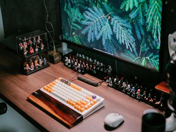 鳙鱼细菌性败血症防治_梧州特种养殖技术