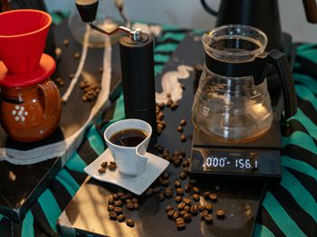 孔雀鱼繁殖方法_梧州特种养殖技术