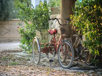 鳖蟹虾鱼混养技术_梧州特种养殖技术