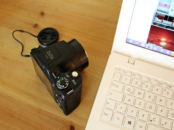 犬腺病毒Ⅱ型感染_梧州特种养殖技术